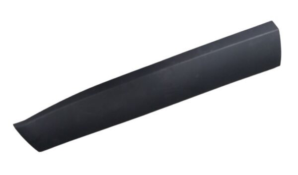 MOLDURA DE PUERTA DELANTERA LH