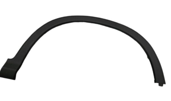 MOLDURA DE LODERA RH